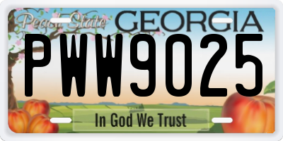 GA license plate PWW9025
