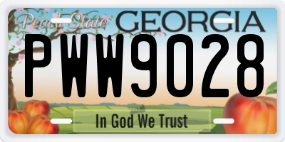 GA license plate PWW9028