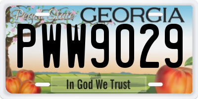 GA license plate PWW9029