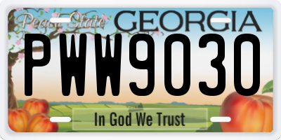 GA license plate PWW9030