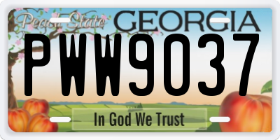 GA license plate PWW9037