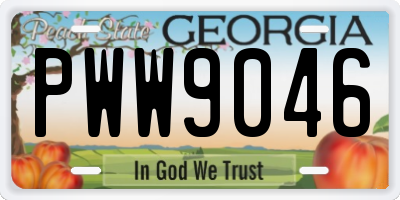 GA license plate PWW9046