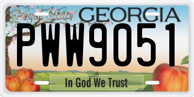 GA license plate PWW9051