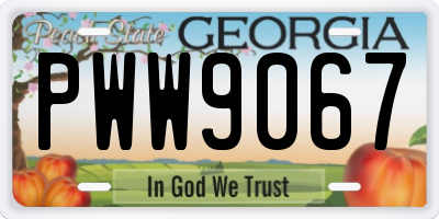GA license plate PWW9067