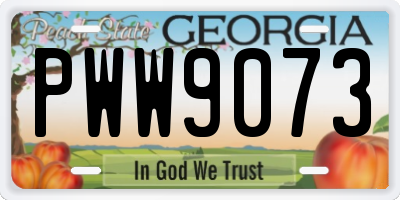 GA license plate PWW9073