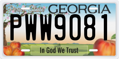 GA license plate PWW9081