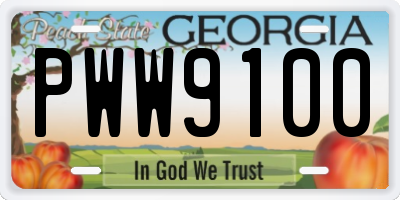 GA license plate PWW9100