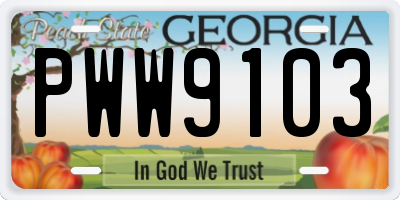 GA license plate PWW9103
