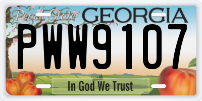 GA license plate PWW9107