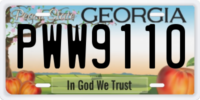 GA license plate PWW9110
