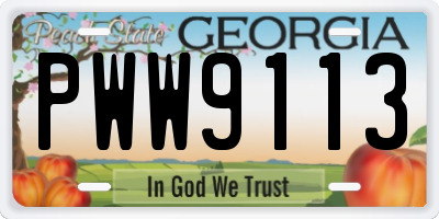 GA license plate PWW9113