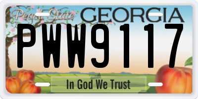 GA license plate PWW9117