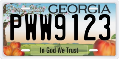 GA license plate PWW9123