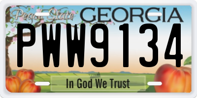 GA license plate PWW9134