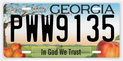 GA license plate PWW9135
