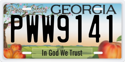 GA license plate PWW9141