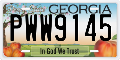 GA license plate PWW9145