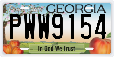 GA license plate PWW9154