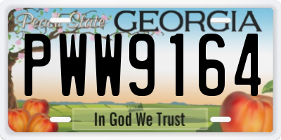 GA license plate PWW9164