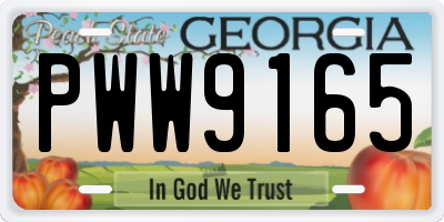 GA license plate PWW9165