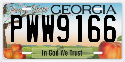 GA license plate PWW9166