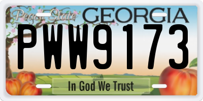 GA license plate PWW9173