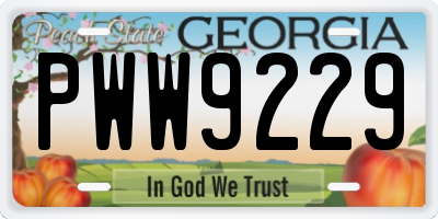 GA license plate PWW9229