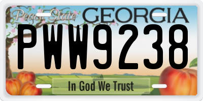 GA license plate PWW9238