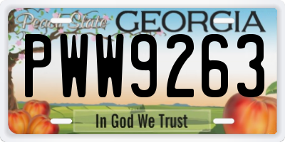 GA license plate PWW9263