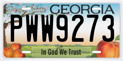 GA license plate PWW9273