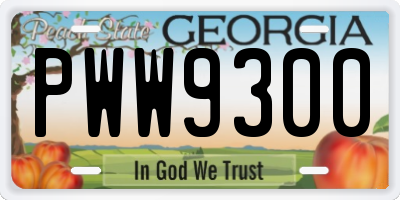 GA license plate PWW9300