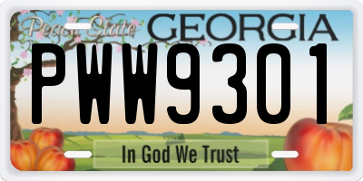 GA license plate PWW9301