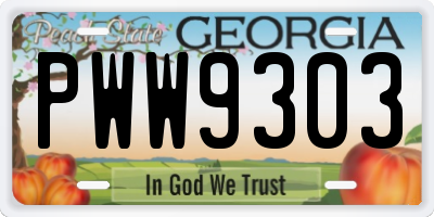 GA license plate PWW9303