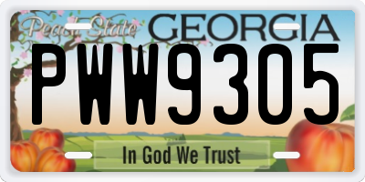GA license plate PWW9305