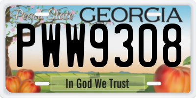 GA license plate PWW9308