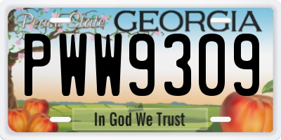 GA license plate PWW9309