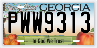 GA license plate PWW9313