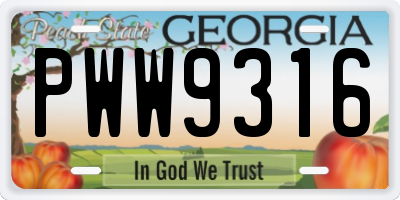GA license plate PWW9316