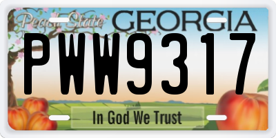 GA license plate PWW9317