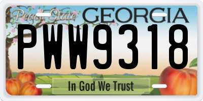 GA license plate PWW9318