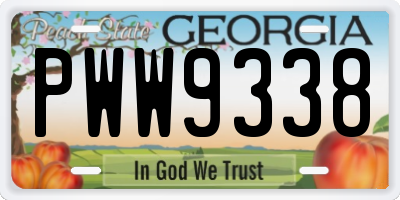 GA license plate PWW9338