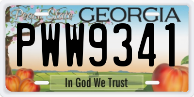 GA license plate PWW9341