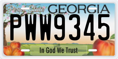 GA license plate PWW9345