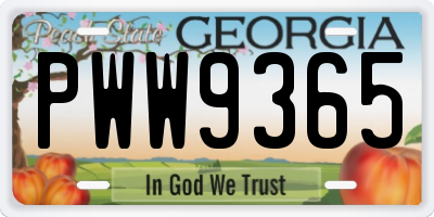 GA license plate PWW9365