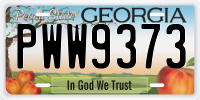 GA license plate PWW9373