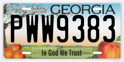 GA license plate PWW9383