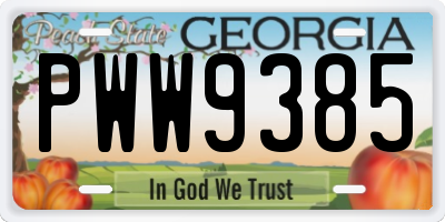 GA license plate PWW9385