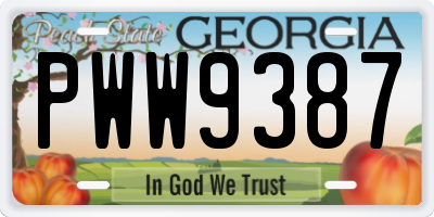 GA license plate PWW9387