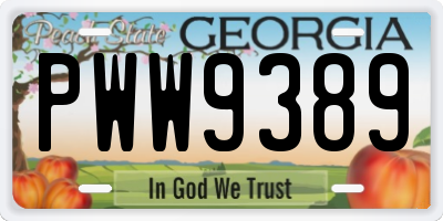 GA license plate PWW9389