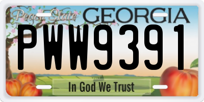 GA license plate PWW9391